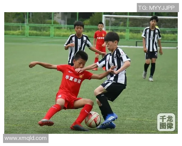 中国足球崛起之路：从青训体系到国际赛场的挑战与突破