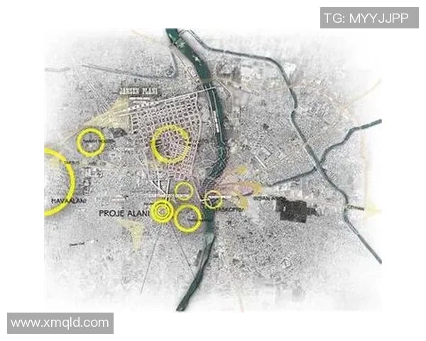 瑞士与日本比赛场地分析及观赛体验全攻略