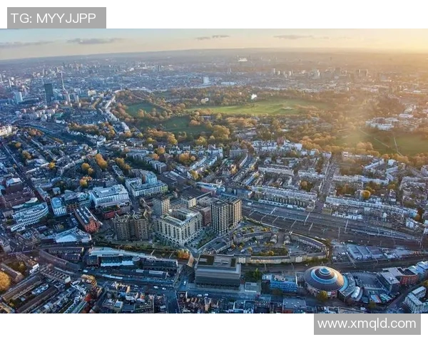 伦敦白鹿巷的辉煌历史与未来挑战