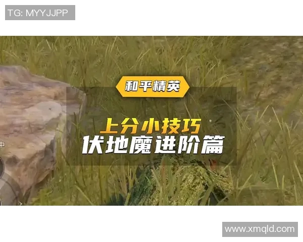 和平精英评论：V5中路突破的成功经验与失败教训分析