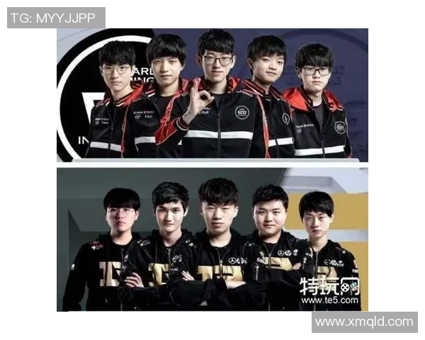 赛后分析：EDG与RNG对决中的战术运用与团队协作经验分享