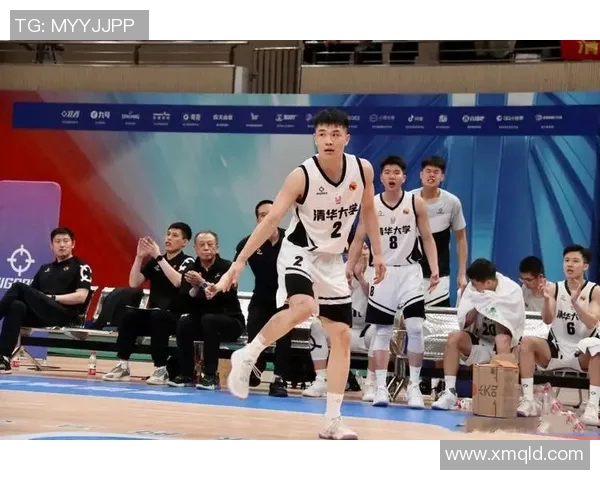 湖北省CBA篮球队发展状况及潜力分析报告