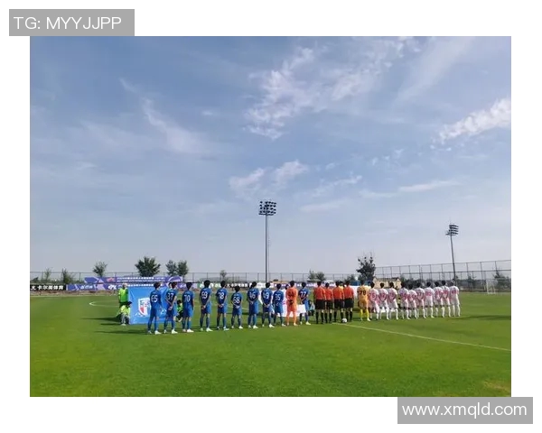 足球的全球魅力与发展趋势：从青训到职业联赛的全景解读