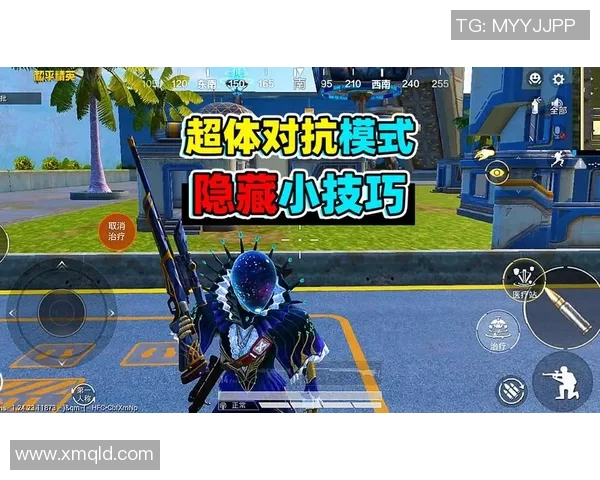 赵静谈和平精英发展历程与未来展望分享游戏背后的故事与挑战