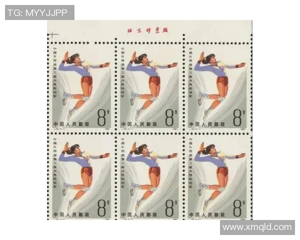 西安排球队的奋斗与荣耀：一段排球精神的真实记录与回顾