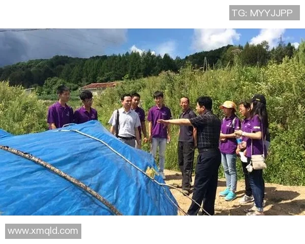 西安极限运动队实力提升背后的变革与挑战探讨