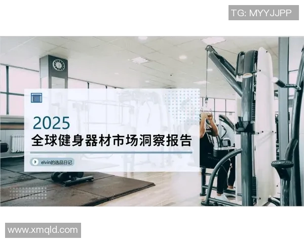 进口健身器材价格与选择：高端设备市场分析